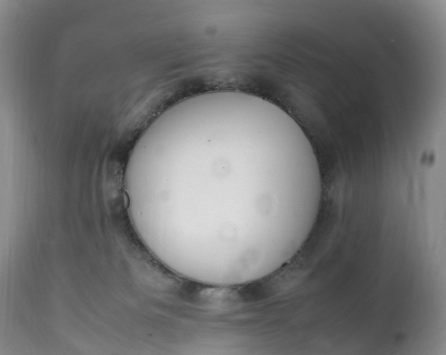 X0000111390133200907241343