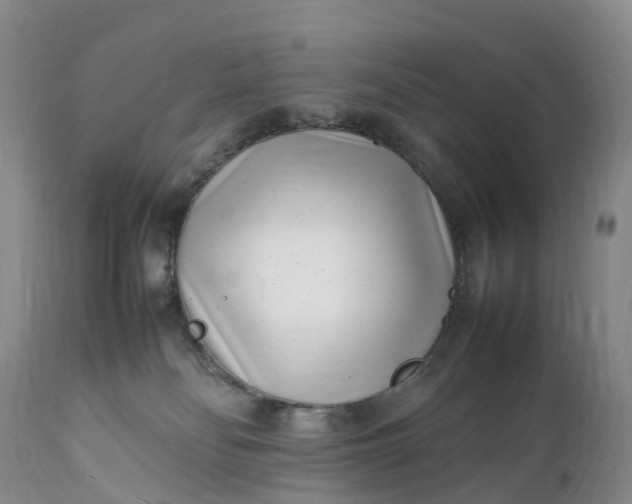 X0000111390134200907241343