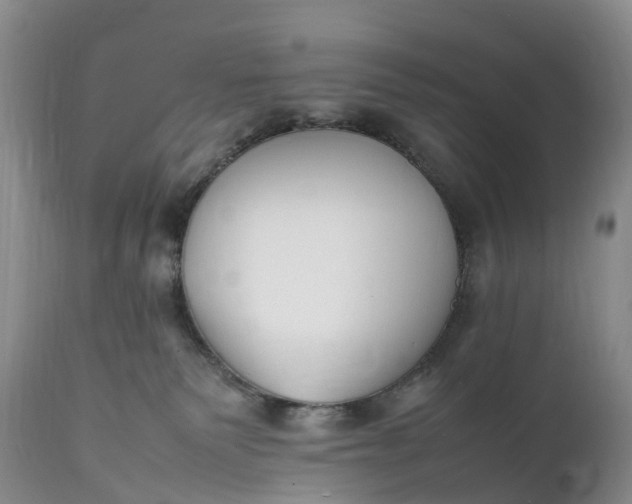 X0000111390135200907241343