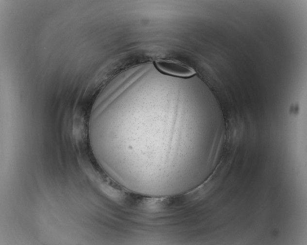 X0000111390136200907241343