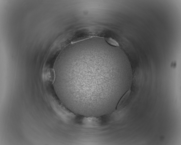 X0000111390137200907241343