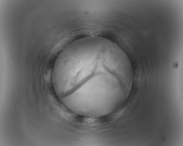 X0000111390139200907241343