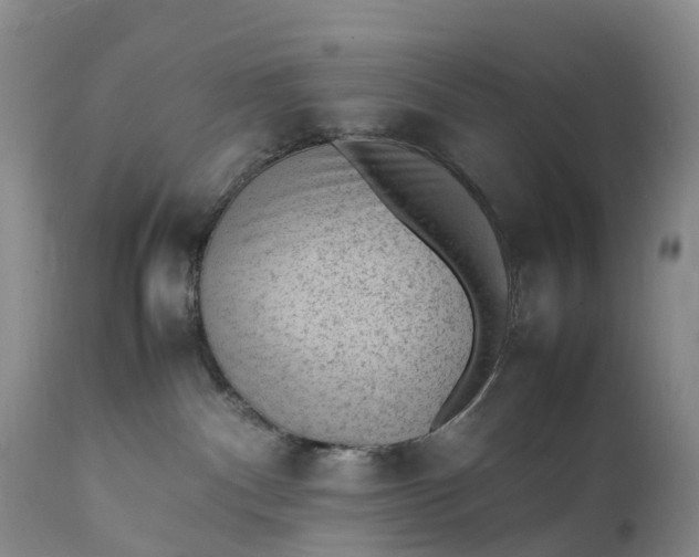 X0000111390140200907241343