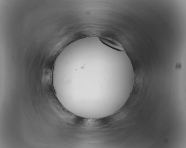 X0000111390141200907241343