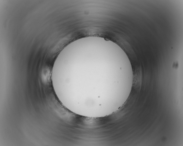 X0000111390142200907241343