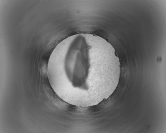 X0000111390143200907241343