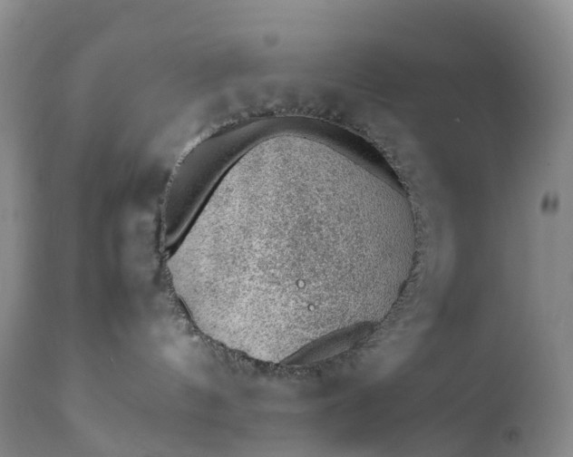 X0000111390144200907241343