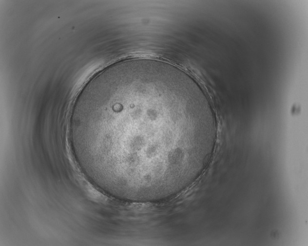 X0000111390145200907241342