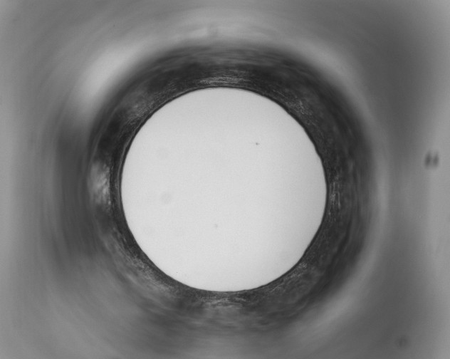 X0000111390146200907241342