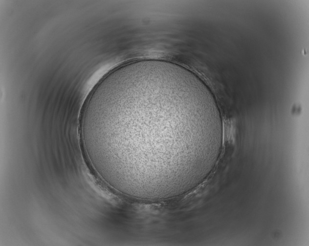 X0000111390147200907241342