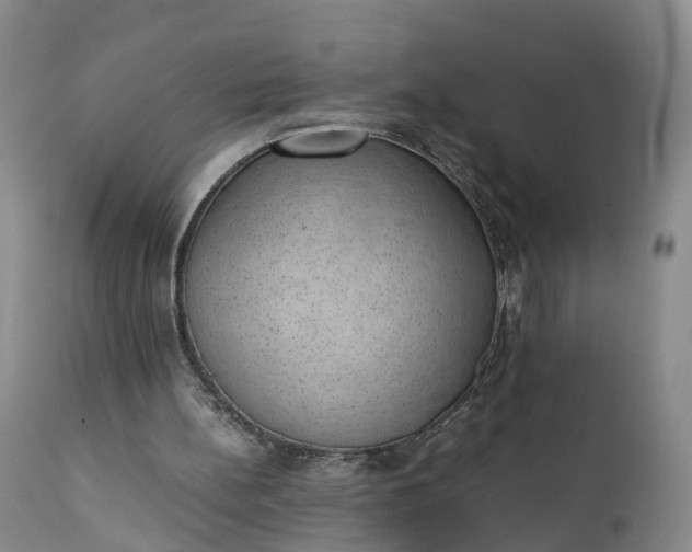 X0000111390148200907241342