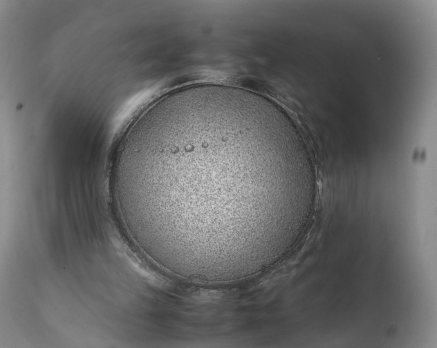 X0000111390149200907241342