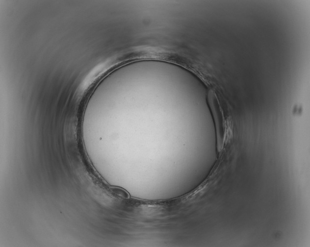 X0000111390150200907241342