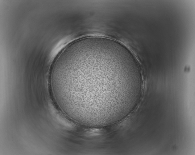 X0000111390151200907241342