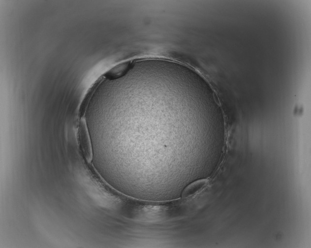 X0000111390152200907241342