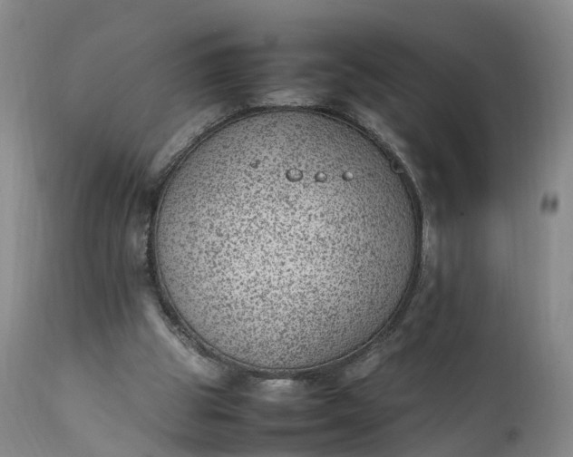 X0000111390153200907241342