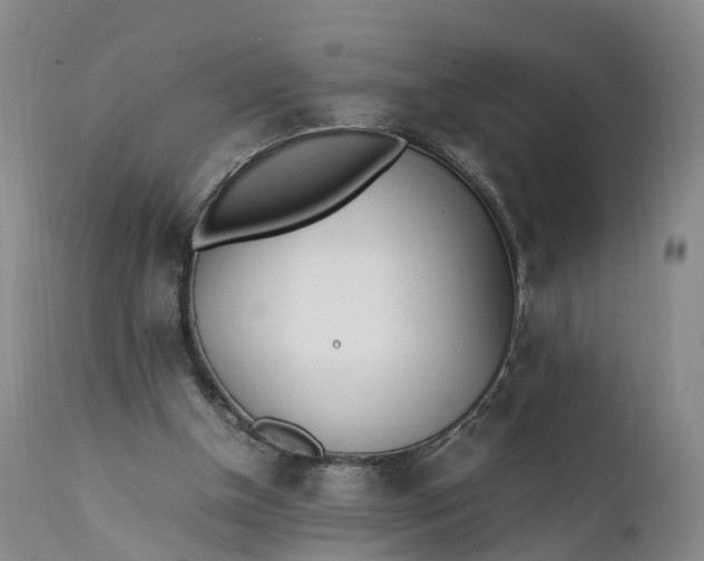 X0000111390154200907241342