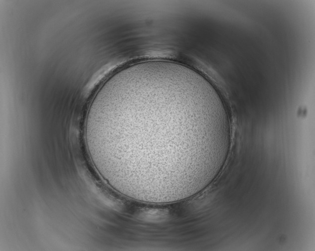 X0000111390155200907241342