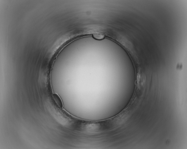 X0000111390156200907241342