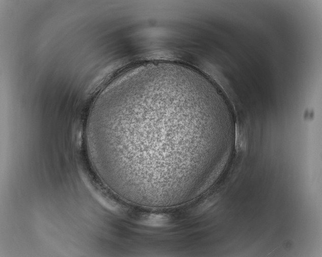 X0000111390157200907241342