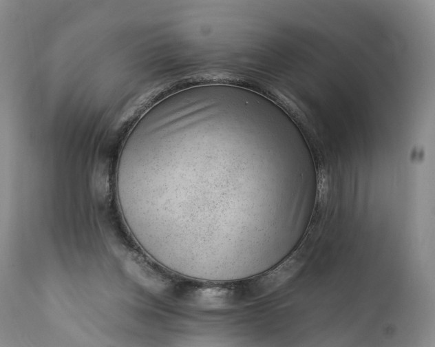 X0000111390158200907241342