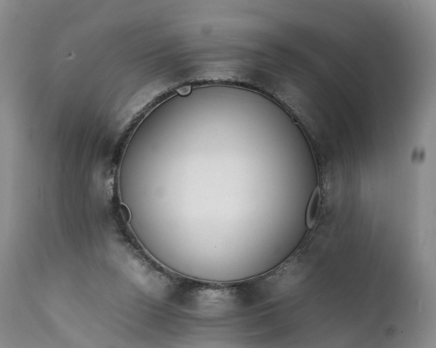 X0000111390160200907241342