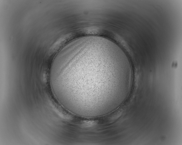 X0000111390161200907241342