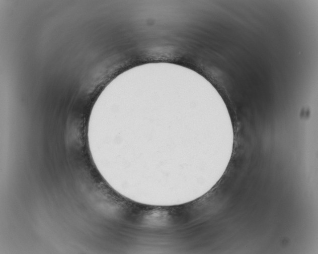 X0000111390162200907241342