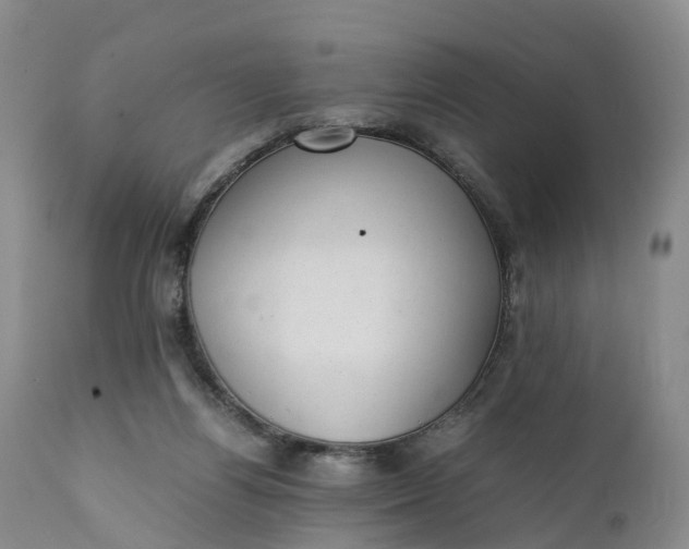 X0000111390164200907241342