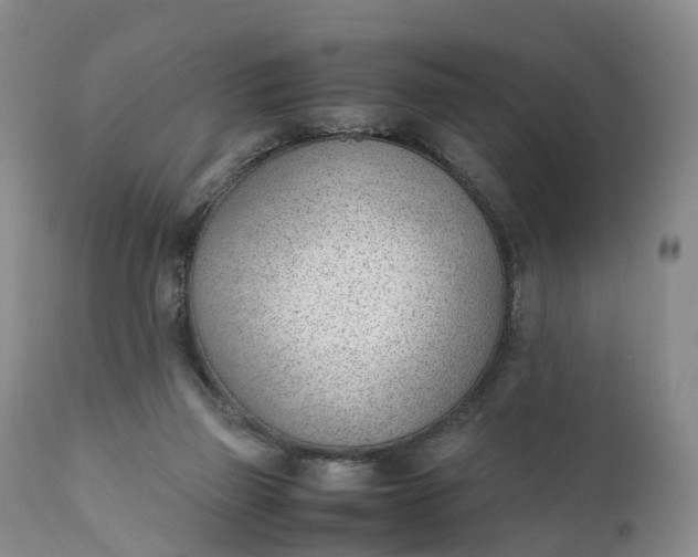 X0000111390165200907241342