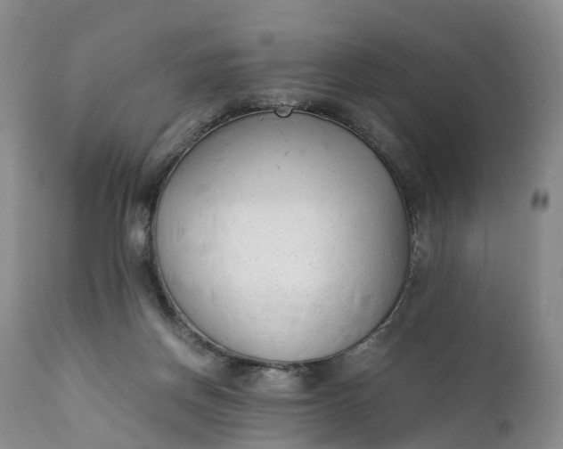 X0000111390166200907241342