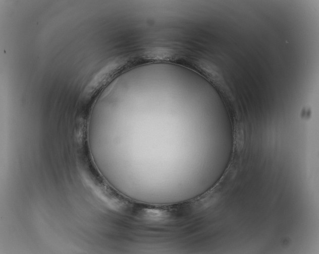 X0000111390167200907241342