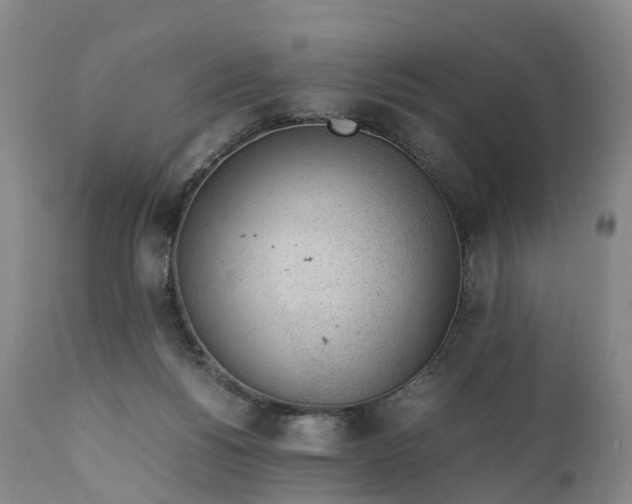 X0000111390168200907241342