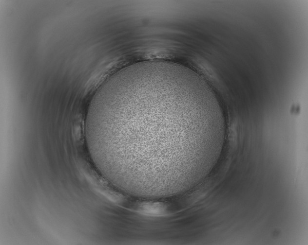 X0000111390169200907241342