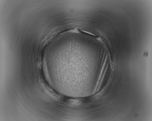 X0000111390170200907241342