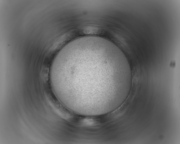 X0000111390171200907241342