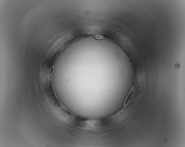 X0000111390172200907241343