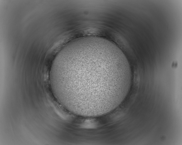 X0000111390173200907241343