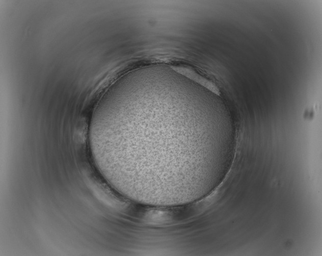 X0000111390174200907241343