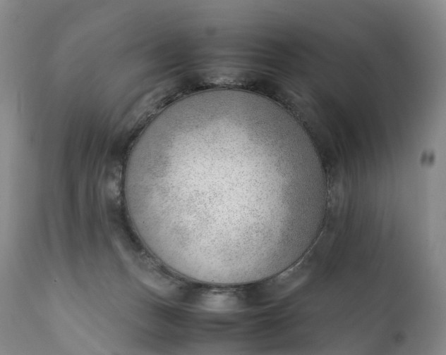 X0000111390175200907241343