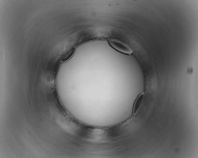 X0000111390176200907241343