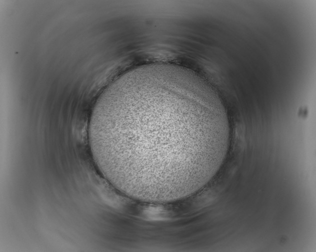 X0000111390177200907241343