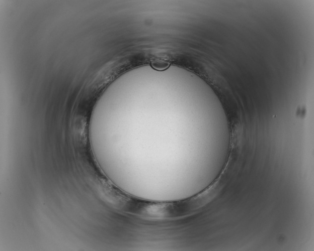 X0000111390178200907241343