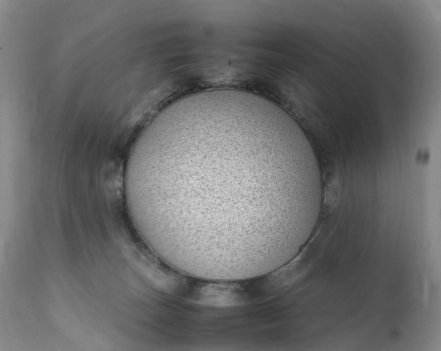 X0000111390179200907241343