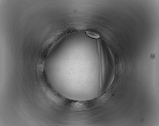 X0000111390180200907241343