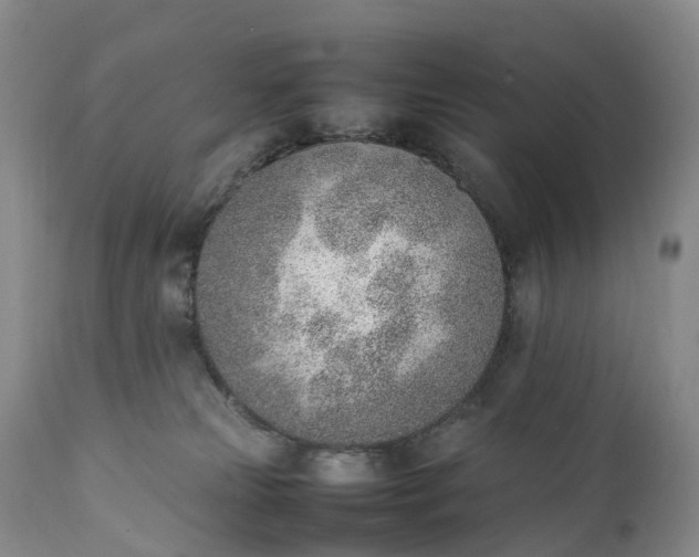 X0000111390181200907241343