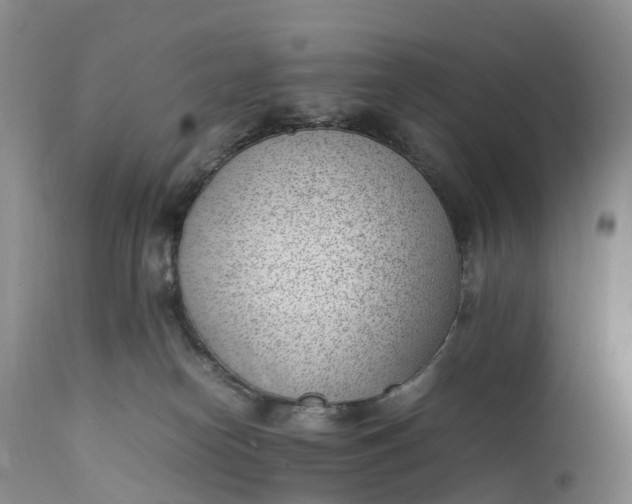 X0000111390182200907241343