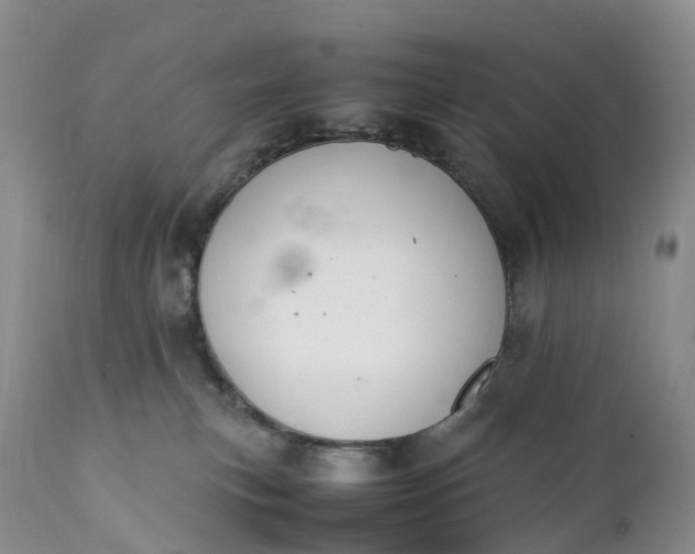 X0000111390183200907241343