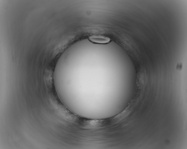 X0000111390184200907241343