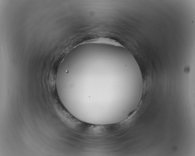 X0000111390186200907241343